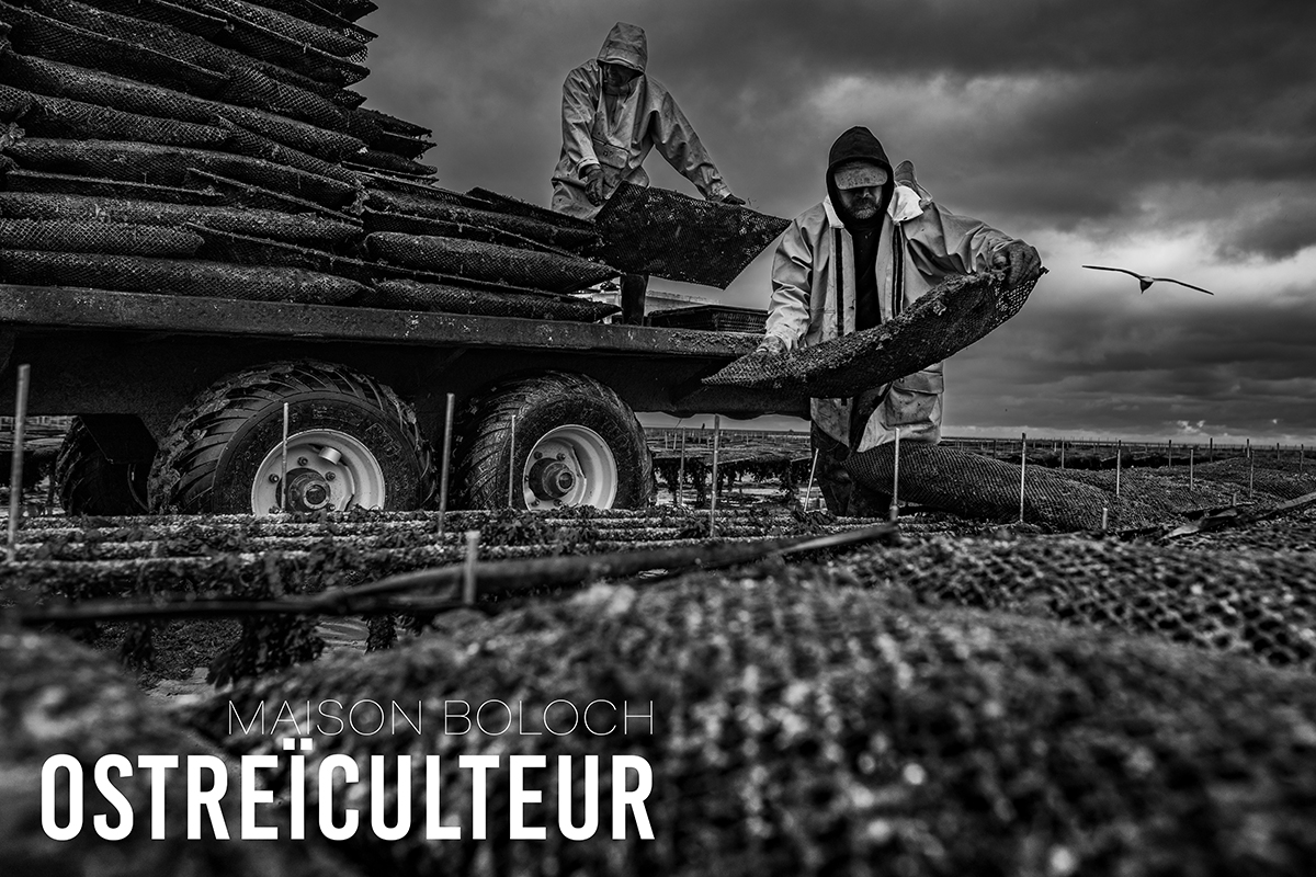 Reportage photo ostréïculteur Maison Boloch Normandie