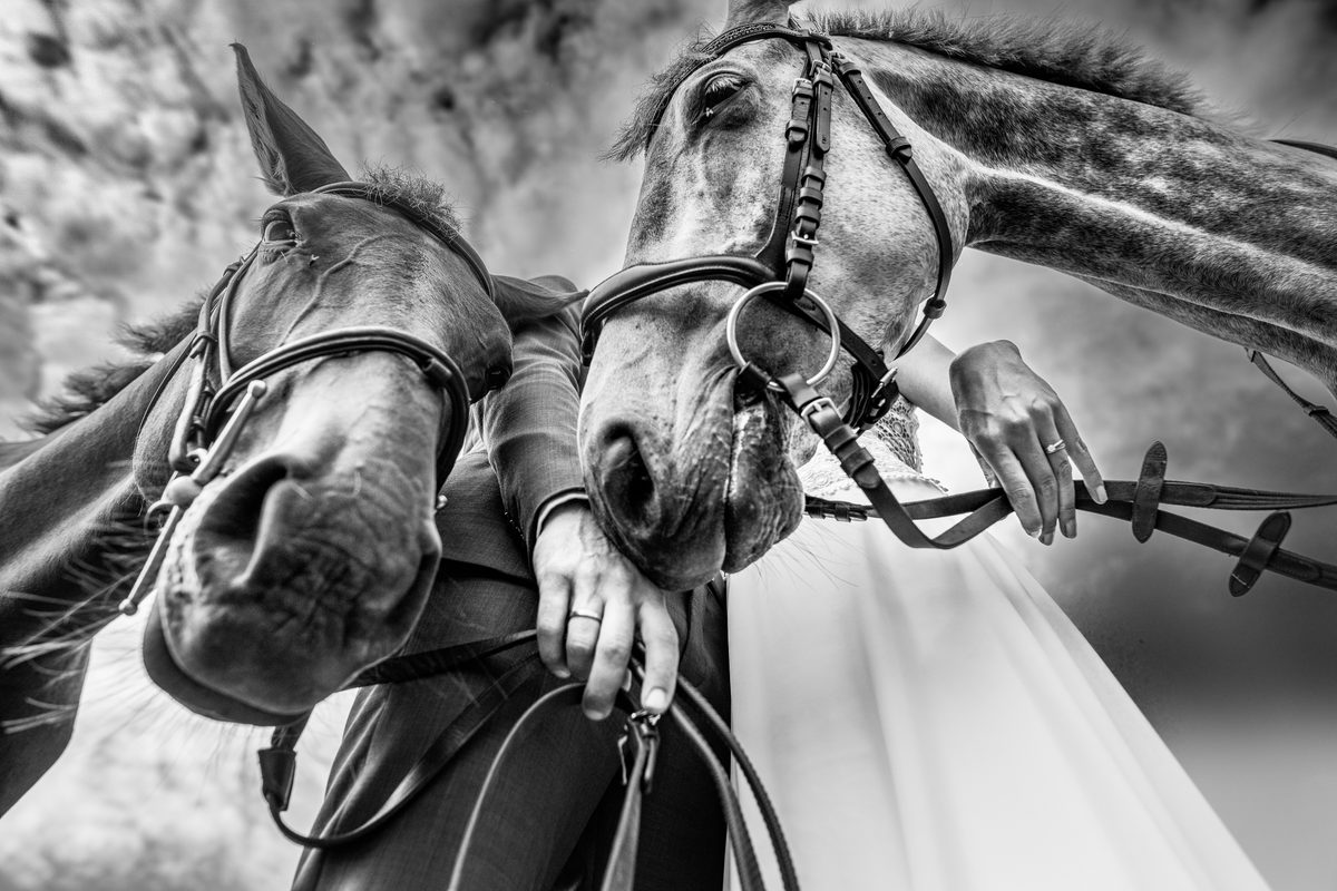 Photographe mariage Normandie — couple chevaux contre-plongée — Arnaud Chapelle